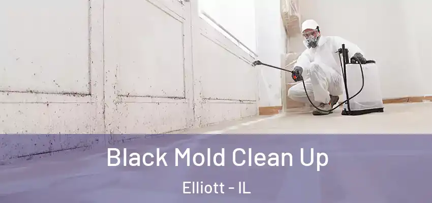 Black Mold Clean Up Elliott - IL