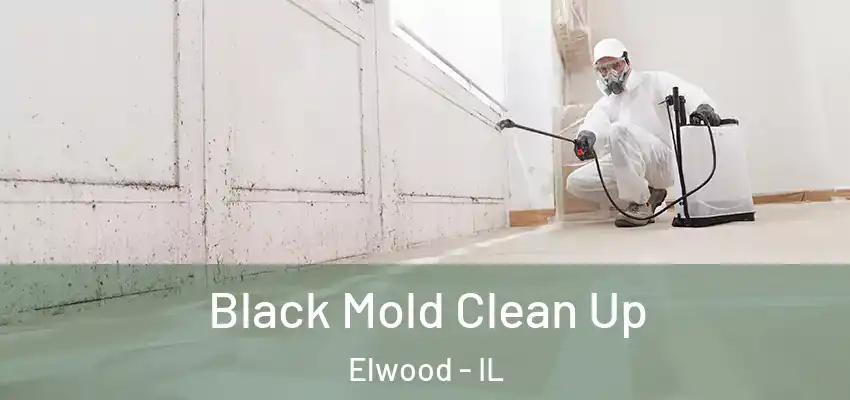 Black Mold Clean Up Elwood - IL