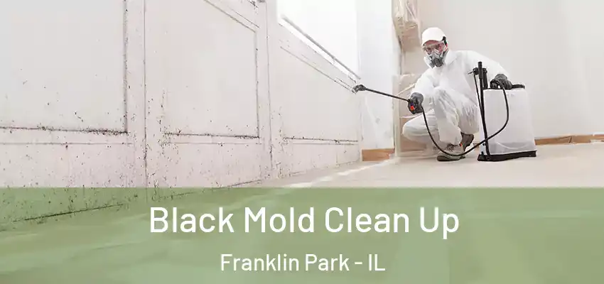 Black Mold Clean Up Franklin Park - IL