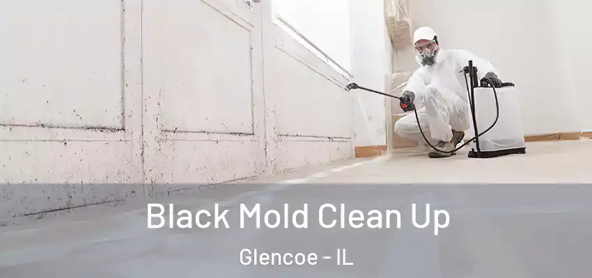  Black Mold Clean Up Glencoe - IL