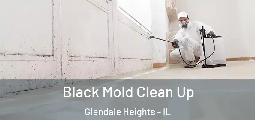 Black Mold Clean Up Glendale Heights - IL