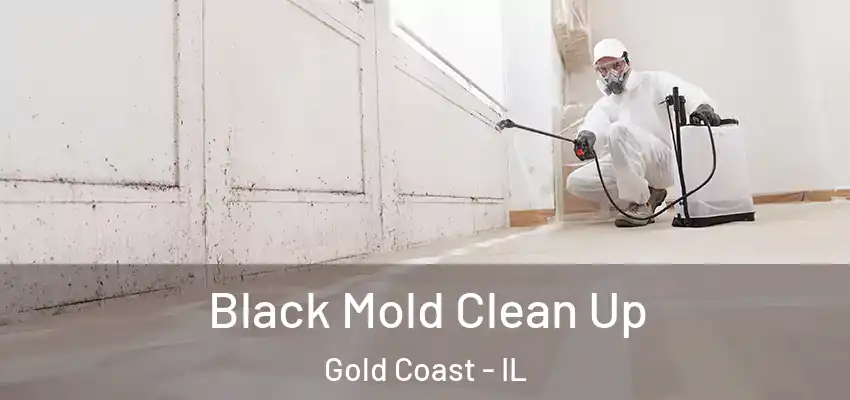 Black Mold Clean Up Gold Coast - IL