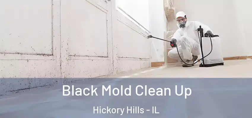 Black Mold Clean Up Hickory Hills - IL