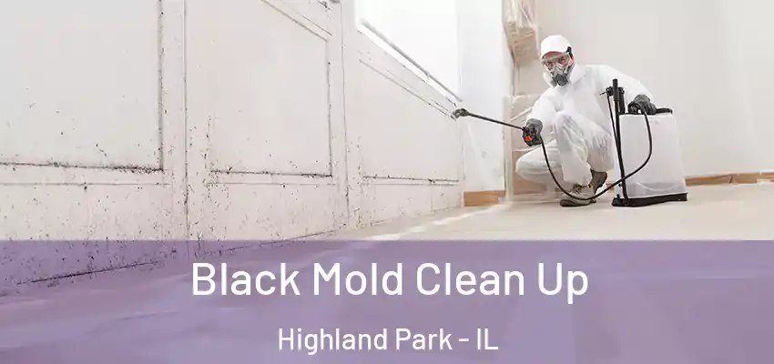 Black Mold Clean Up Highland Park - IL