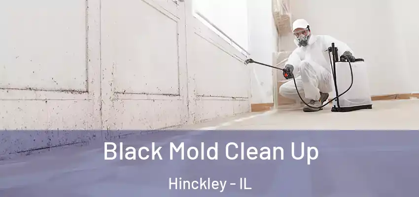  Black Mold Clean Up Hinckley - IL