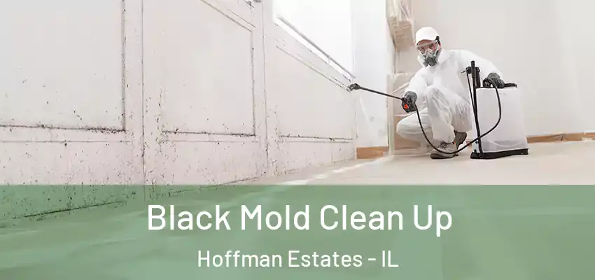  Black Mold Clean Up Hoffman Estates - IL