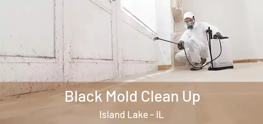  Black Mold Clean Up Island Lake - IL