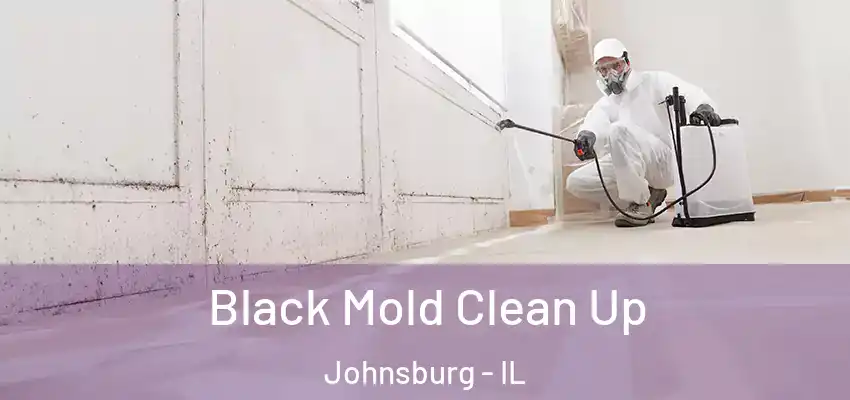 Black Mold Clean Up Johnsburg - IL
