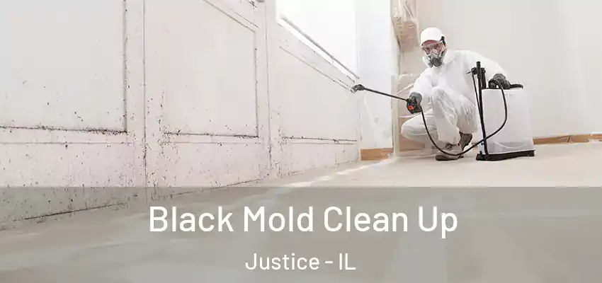  Black Mold Clean Up Justice - IL