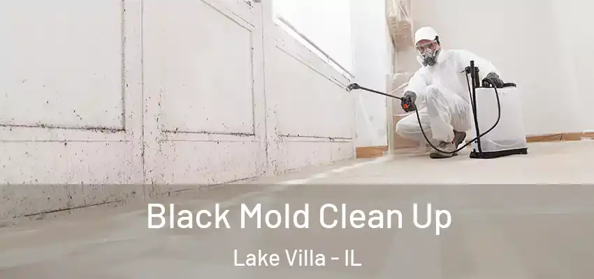 Black Mold Clean Up Lake Villa - IL