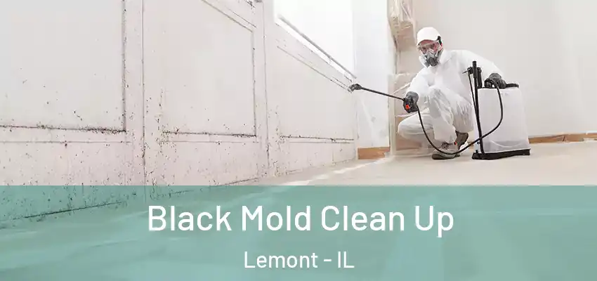  Black Mold Clean Up Lemont - IL
