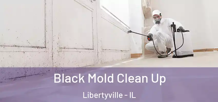  Black Mold Clean Up Libertyville - IL