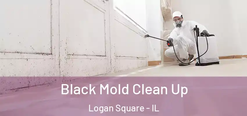  Black Mold Clean Up Logan Square - IL