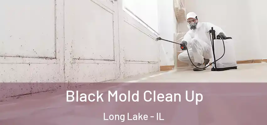  Black Mold Clean Up Long Lake - IL