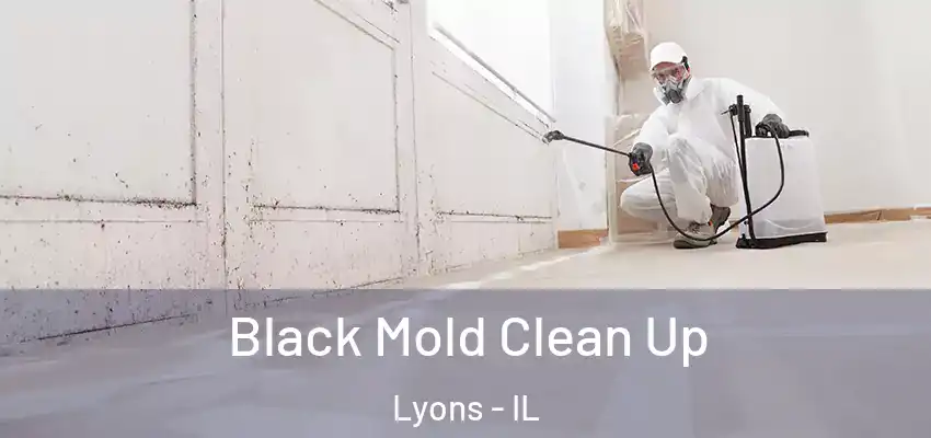  Black Mold Clean Up Lyons - IL