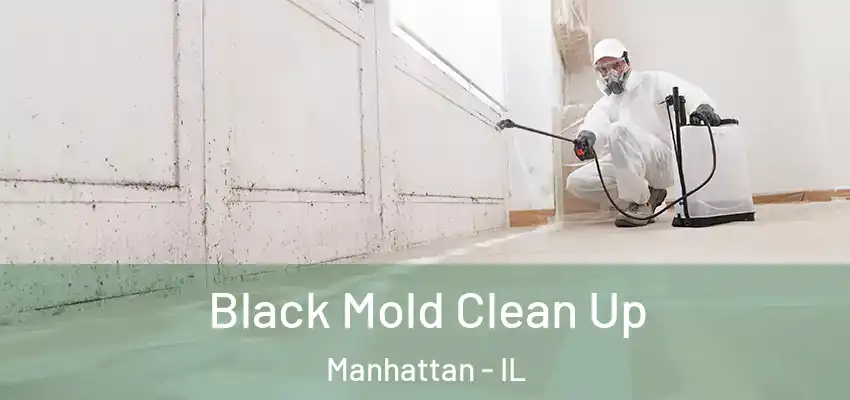  Black Mold Clean Up Manhattan - IL