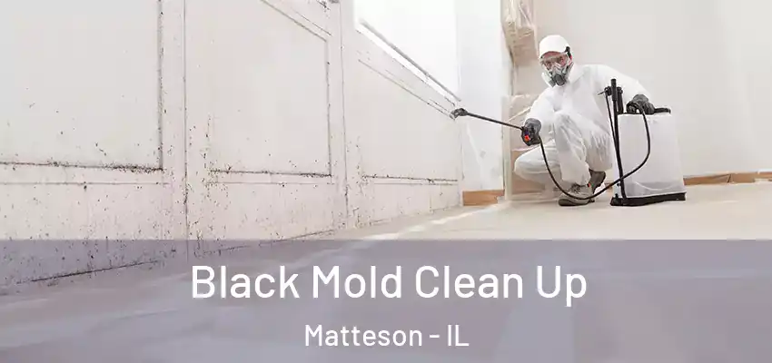  Black Mold Clean Up Matteson - IL