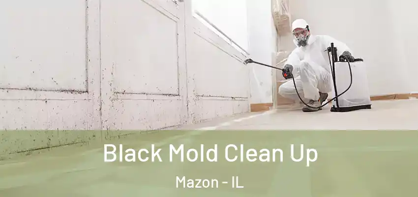 Black Mold Clean Up Mazon - IL