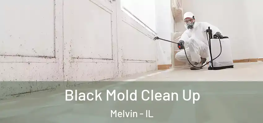  Black Mold Clean Up Melvin - IL