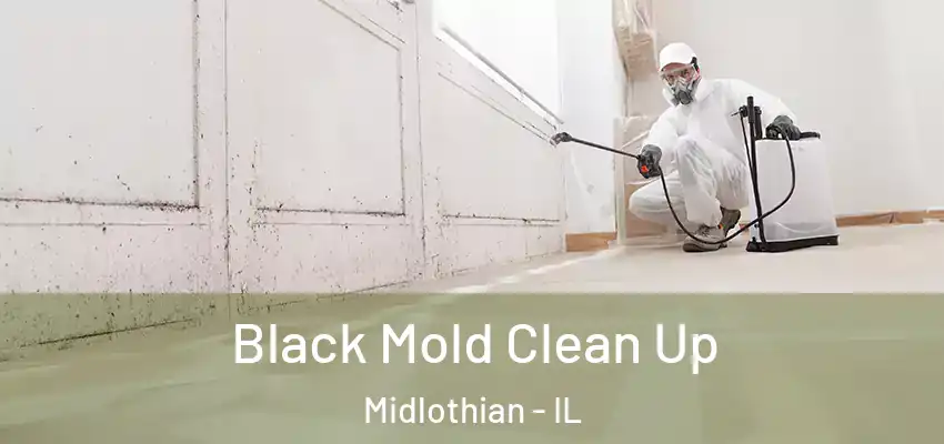 Black Mold Clean Up Midlothian - IL