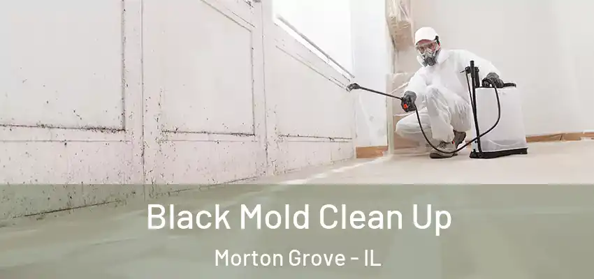 Black Mold Clean Up Morton Grove - IL