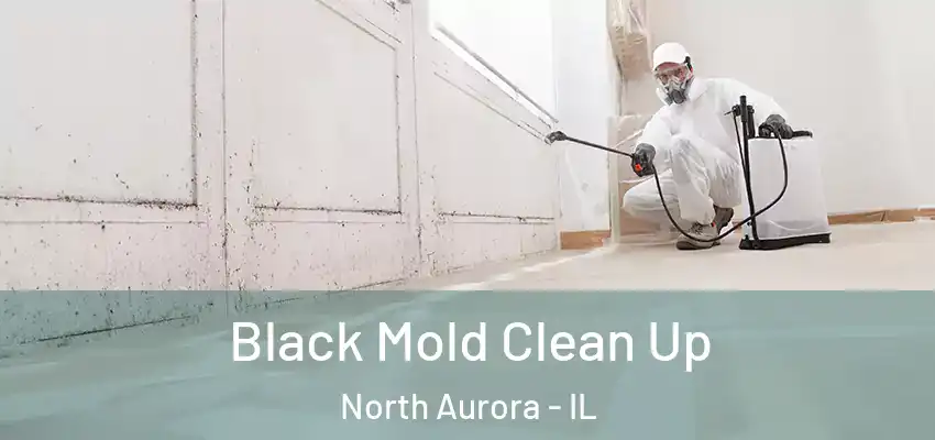  Black Mold Clean Up North Aurora - IL