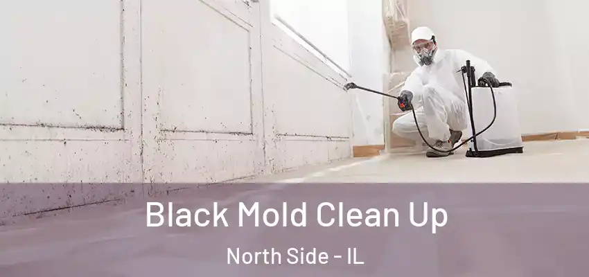 Black Mold Clean Up North Side - IL