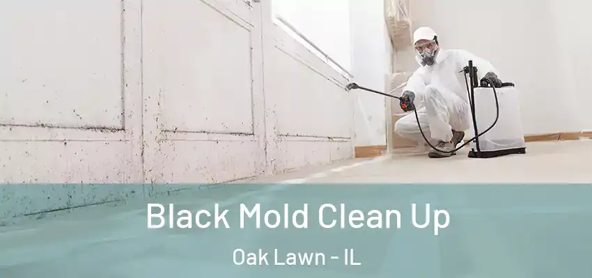 Black Mold Clean Up Oak Lawn - IL