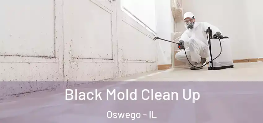 Black Mold Clean Up Oswego - IL
