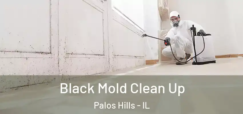 Black Mold Clean Up Palos Hills - IL