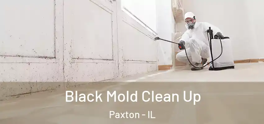 Black Mold Clean Up Paxton - IL