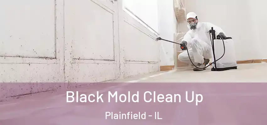 Black Mold Clean Up Plainfield - IL