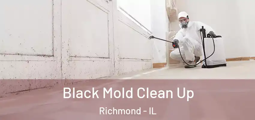  Black Mold Clean Up Richmond - IL