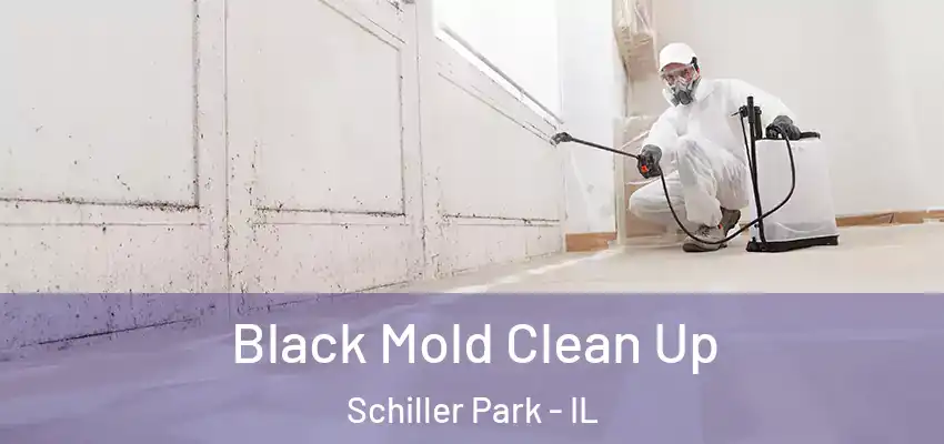 Black Mold Clean Up Schiller Park - IL