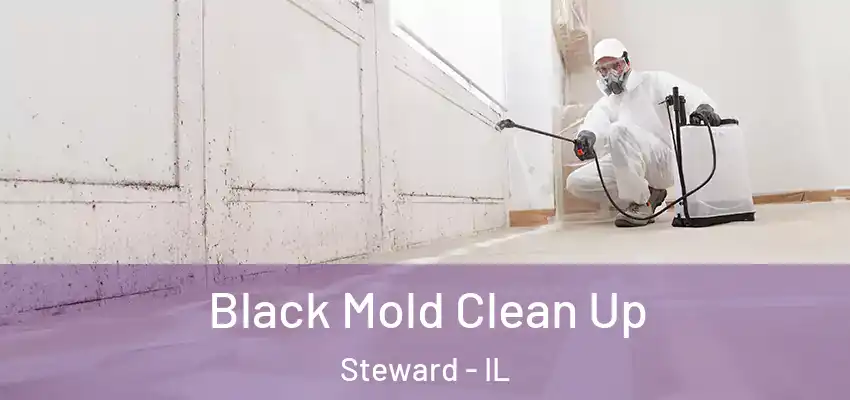  Black Mold Clean Up Steward - IL