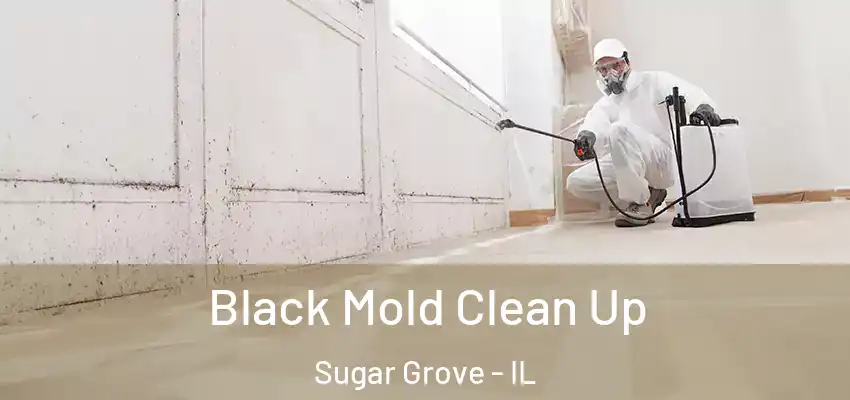 Black Mold Clean Up Sugar Grove - IL