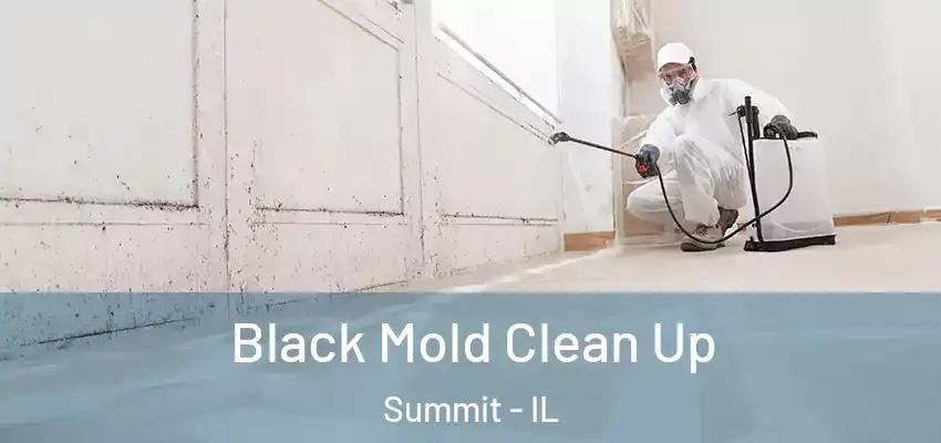 Black Mold Clean Up Summit - IL