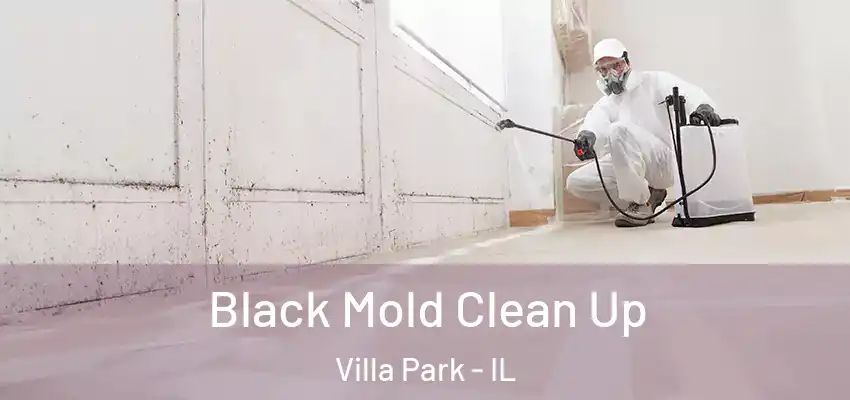 Black Mold Clean Up Villa Park - IL