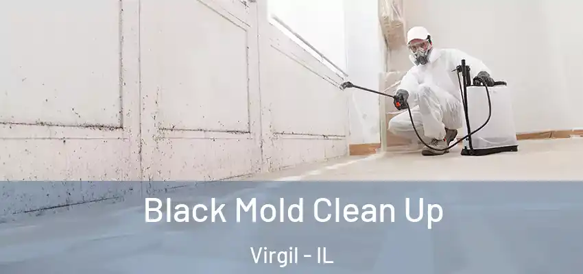  Black Mold Clean Up Virgil - IL