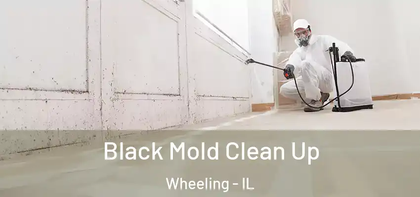  Black Mold Clean Up Wheeling - IL