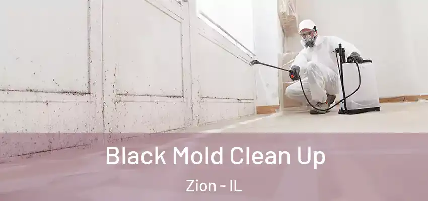  Black Mold Clean Up Zion - IL