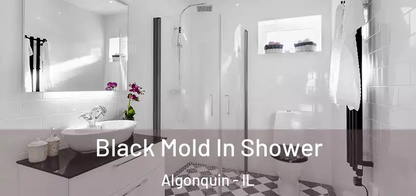 Black Mold In Shower Algonquin - IL