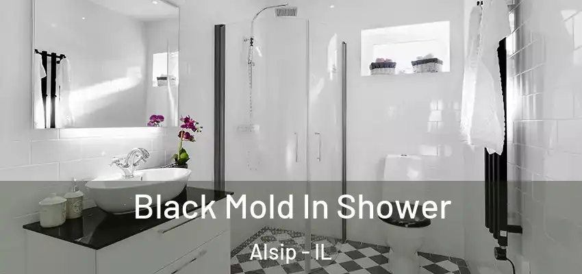  Black Mold In Shower Alsip - IL