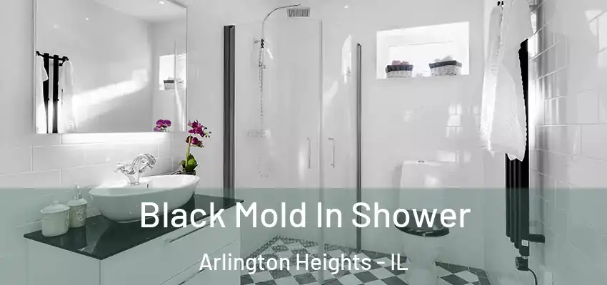  Black Mold In Shower Arlington Heights - IL