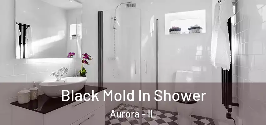  Black Mold In Shower Aurora - IL