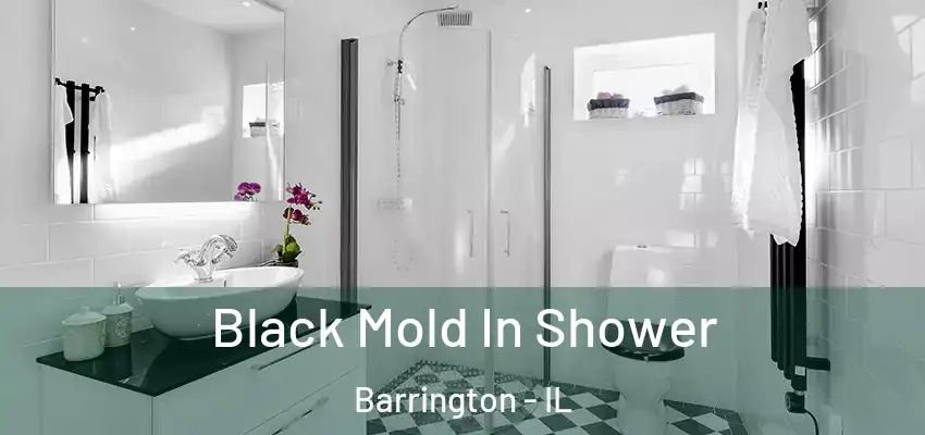 Black Mold In Shower Barrington - IL