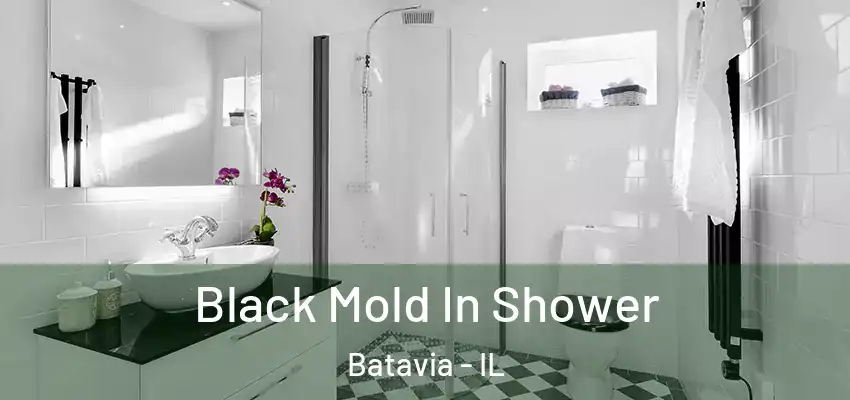  Black Mold In Shower Batavia - IL