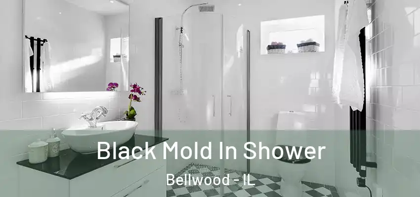  Black Mold In Shower Bellwood - IL