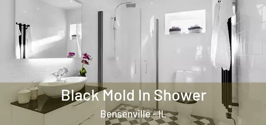 Black Mold In Shower Bensenville - IL