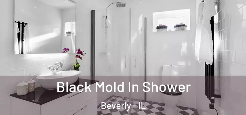  Black Mold In Shower Beverly - IL
